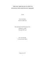TÍNH TOÁN, THIẾT KẾ MÁY SẤY BĂNG TẢI DÙNG ĐỂ SẤY TRÀ XANH NĂNG SUẤT 100 kgGIỜ   