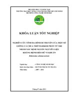 NGHIÊN CỨU TÍNH ĐA HÌNH DI TRUYỀN CỦA MỘT SỐ GIỐNG CÀ CHUA NHỜ MARKER PHÂN TỬ SSR  NHẰM XÁC ĐỊNH NGUỒN NGUYÊN LIỆU KHÁNG BỆNH HÉO RŨ VI KHUẨN 