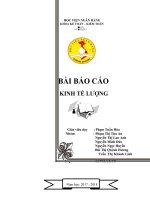 Báo cáo Kinh tế lượng