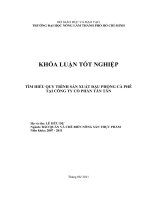 TÌM HIỂU QUY TRÌNH SẢN XUẤT ĐẬU PHỘNG CÀ PHÊ TẠI CÔNG TY CỔ PHẦN TÂN TÂN   