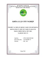 TÌM HIỂU VAI TRÒ GÂY BỆNH VÀ KHẢ NĂNG ĐỀ KHÁNG KHÁNG SINH CỦA MỘT SỐ VI KHUẨN GRAM ÂM TRONG NHIỄM TRÙNG TIẾT NIỆU TẠI BỆNH VIỆN 175