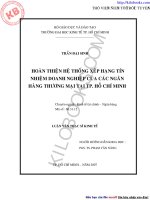 Hoàn thiện hệ thống xếp hạng tín nhiệm doanh nghiệp của các ngân hàng thương mại tại tp  hồ chí minh 