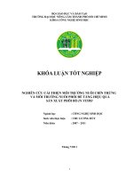    NGHIÊN CỨU CẢI THIỆN MÔI TRƯỜNG NUÔI CHÍN TRỨNG VÀ MÔI TRƯỜNG NUÔI PHÔI ĐỂ TĂNG HIỆU QUẢ   SẢN XUẤT PHÔI BÒ IN VITRO   