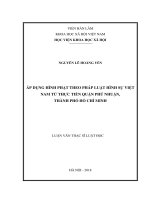 Áp dụng hình phạt theo pháp luật hình sự việt nam từ thực tiễn quận phú nhuận, thành phố hồ chí minh 