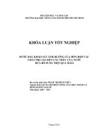    BƯỚC ĐẦU KHẢO SÁT ẢNH HƯỞNG CỦA HỖN HỢP CÁC CHẤT PHỤ GIA ĐẾN CẤU TRÚC CỦA NƯỚC  DỨA BỔ SUNG THỊT QUẢ XOÀI   