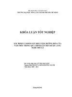   XÁC ĐỊNH VÀ KHẢO SÁT KHẢ NĂNG ĐƯỜNG HÓA CỦA NẤM MỐC TRONG QUÁ TRÌNH LÊN MEN RƯỢU LÀNG  NGHỀ PHÚ LỄ   