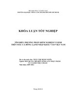   TÌM HIỂU PHƯƠNG PHÁP KIỂM NGHIỆM VI SINH  TRÊN MẪU CÁ ĐÔNG LẠNH NHẬP KHẨU VÀO VIỆT NAM       