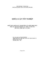    BƯỚC ĐẦU KHẢO SÁT ẢNH HƯỞNG CỦA HỔN HỢP CHẤT PHỤ GIA NHẰM ỔN ĐỊNH CẤU TRÚC NƯỚC DỨA   BỔ SUNG THỊT QUẢ CÀ CHUA   