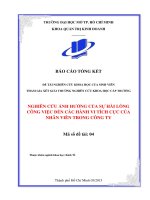 nghiên cứu ảnh hưởng của sự hài lòng công việc đến các hành vi tích cực của nhân viên trong công ty 