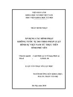 Áp dụng các hình phạt không tước tự do theo pháp luật hình sự việt nam từ thực tiễn tỉnh phú yên ( Luận văn thạc sĩ)