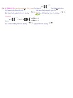 2D2 4 5 2c12 DE SO 9 gắn ID nghiêm phương   copy 