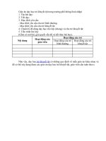 Giáo án dạy học trẻ khuyết tật trong trường phổ thông