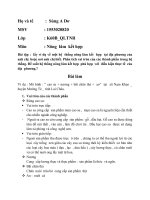 1 Hãy phân tích  ưu nhược điểm của ký thuật  trồng trọt và trăm nuôi trong sản xuất nông lâm kết hopjwtaaij địa phương của anh chirjhoacwj nơi anh chị biết