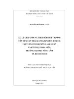   XỬ LÝ GIEO ƯƠM VÀ THEO DÕI SINH TRƯỞNG  CÂY DỪA CẠN THÁI (CATHARANTHUS ROSEUS)   TẠI VƯỜN ƯƠM BỘ MÔN CẢNH QUAN  VÀ KỸ THUẬT HOA VIÊN,   TRƯỜNG ĐẠI HỌC NÔNG LÂM  TP. HỒ CHÍ MINH   