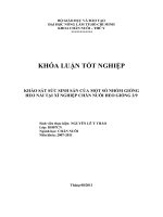    KHẢO SÁT SỨC SINH SẢN CỦA MỘT SỐ NHÓM GIỐNG HEO NÁI TẠI XÍ NGHIỆP CHĂN NUÔI HEO GIỐNG 29   