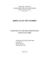 ẢNH HƯỞNG CỦA CHẾ PHẨM FORMI NDF ĐẾN  NĂNG SUẤT GÀ THỊT 