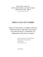     KHẢO SÁT TÌNH TRẠNG VẤY NHIỄM VI SINH VẬT TRÊN BỀ MẶT QUÀY THỊT HEO TƯƠI TẠI MỘT  SỐ CƠ SỞ GIẾT MỔ CỦA 4 TỈNH ĐỒNG NAI, BÌNH DƯƠNG, TIỀN GIANG VÀ TP.HCM   