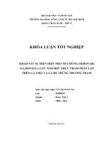   KHẢO SÁT SỰ HIỆN DIỆN MỘT SỐ CHỦNG (SEROVAR) SALMONELLA GÂY NGỘ ĐỘC THỰC PHẨM PHÂN LẬP  TRÊN GÀ THỊT VÀ GÀ ĐẺ TRỨNG THƯƠNG PHẨM 