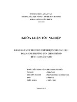 KHẢO SÁT MỨC PROTEIN THÍCH HỢP CHO CÁC GIAI ĐOẠN SINH TRƯỞNG CỦA CHIM TRĨ ĐỎ   TỪ 0 – 14 TUẦN TUỔI   