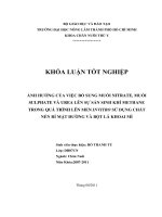   ẢNH HƯỞNG CỦA VIỆC BỔ SUNG MUỐI NITRATE, MUỐI SULPHATE VÀ UREA LÊN SỰ SẢN SINH KHÍ METHANE TRONG QUÁ TRÌNH LÊN MEN INVITRO SỬ DỤNG CHẤT   NỀN RỈ MẬT ĐƯỜNG VÀ BỘT LÁ KHOAI MÌ   