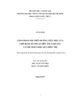   CHẨN ĐOÁN SỎI TRÊN ĐƯỜNG TIẾT NIỆU CỦACHÓ BẰNG KĨ THUẬT SIÊU ÂM, XQUANG  VÀ GHI NHẬN HIỆU QUẢ ĐIỀU TRỊ                                              