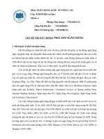 NGÂN HÀNG QUỐC TẾ NÂNG CAO CHỦ ĐỀ: PHÁ SẢN NGÂN HÀNG