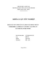    KHẢO SÁT SỨC SINH SẢN CỦA HEO NÁI GIỐNG THUẦN YORKSHIRE, LANDRACE VÀ DUROC TẠI CÔNG TY  SAN MIGUEL PURE FOODS  