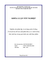 Nghiên cứu phân lập và sử dụng một số dòng Trichoderma để sản xuất phân hữu cơ vi sinh từ bùn  thải sinh học trong quá trình sản xuất thực phẩm   