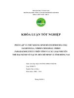   PHÂN LẬP VÀ THỬ KHÁNG SINH ĐỒ ESCHERICHIA COLI, SALMONELLA, VIBRIO CHOLERAE, VIBRIO  PARAHAEMOLYTICUS TRÊN TÔM VÀ CÁC LOẠI NHUYỄN THỂ HAI MẢNH VỎ TẠI TP. HỒ CHÍ MINH VÀ TỈNH ĐỒNG NAI 
