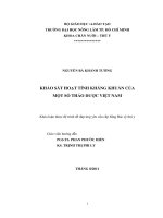   KHẢO SÁT HOẠT TÍNH KHÁNG KHUẨN CỦA MỘT SỐ THẢO DƯỢC VIỆT NAM 