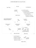 SO DO NHAN BIET CAC LOAI TU GIAC