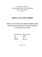 KHẢO SÁT ẢNH HƯỞNG DDGS (DISTILLER DRIED GRAINS WITH SOLUBLES) TRONG KHẨU PHẦN HEO NUÔI THỊT  TỪ 30 KG ĐẾN XUẤT CHUỒNG 