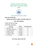 ĐÁNH GIÁ CHẤT LƯỢNG NGUYÊN LIỆU CÁ  SAU THU HOẠCH