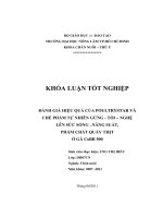ĐÁNH GIÁ HIỆU QUẢ CỦA POULTRYSTAR VÀ   CHẾ PHẨM TỰ NHIÊN GỪNG  TỎI – NGHỆ  LÊN SỨC SỐNG , NĂNG SUẤT,  PHẨM CHẤT QUẦY THỊT  Ở GÀ CoBB 500 