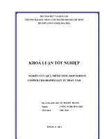 NGHIÊN CỨU QUÁ TRÌNH TỔNG HỢP SODIUM COPPER CHLOROPHYLLIN TỪ PHÂN TẰM 