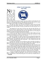 Công ty sữa việt nam (vinamilk)