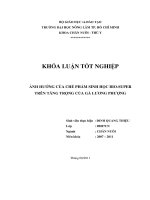 ẢNH HƯỞNG CỦA CHẾ PHẨM SINH HỌC BIOSUPER  TRÊN TĂNG TRỌNG CỦA GÀ LƯƠNG PHƯỢNG 