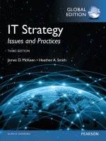 IT strategy issue and practices 3rd GLobal edition by mckeen 