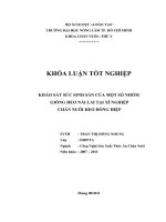 KHẢO SÁT SỨC SINH SẢN CỦA MỘT SỐ NHÓM  GIỐNG HEO NÁI LAI TẠI XÍ NGHIỆP   CHĂN NUÔI HEO ĐỒNG HIỆP 