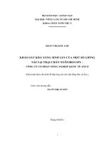 KHẢO SÁT KHẢ NĂNG SINH SẢN CỦA MỘT SỐ GIỐNG NÁI TẠI TRẠI CHĂN NUÔI HEO GP1 –   CÔNG TY CỔ PHẦN NÔNG NGHIỆP QUỐC TẾ ANCO   