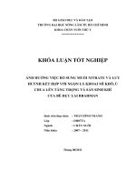   ẢNH HƯỞNG VIỆC BỔ SUNG MUỐI NITRATE VÀ LƯU HUỲNH KẾT HỢP VỚI NGỌN LÁ KHOAI MÌ KHÔ, Ủ  CHUA LÊN TĂNG TRỌNG VÀ SẢN SINH KHÍ CỦA BÊ ĐỰC LAI BRAHMAN   