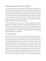 Cơ chế tác dụng của các chất ức chế HDAC