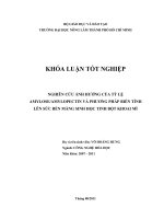 NGHIÊN CỨU ẢNH HƯỞNG CỦA TỶ LỆ AMYLOSEAMYLOPECTIN VÀ PHƯƠNG PHÁP BIẾN TÍNH  LÊN SỨC BỀN MÀNG SINH HỌC TINH BỘT KHOAI MÌ 