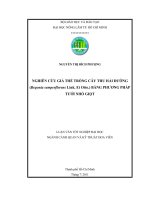 NGHIÊN CỨU GIÁ THỂ TRỒNG CÂY THU HẢI ĐƯỜNG (Begonia semperflorens Link. Et Otto.) BẰNG PHƯƠNG PHÁP  TƯỚI NHỎ GIỌT 