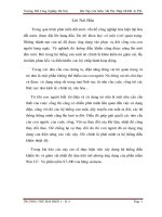 Bài Tập Lớn Môn Hệ Thu Thập DLDK  TSL