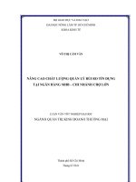 NÂNG CAO CHẤT LƯỢNG QUẢN LÝ RỦI RO TÍN DỤNG TẠI NGÂN HÀNG MHB – CHI NHÁNH CHỢ LỚN