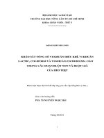    KHẢO SÁT TỔNG SỐ VI KHUẨN HIẾU KHÍ, VI KHUẨN LACTIC, COLIFORM VÀ VI KHUẨN ESCHERICHIA COLI     TRONG CÁC ĐOẠN RUỘT NON VÀ RUỘT GIÀ CỦA HEO THỊT 