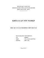 HIỆU QUẢ CỦA EUTHERPHOS TRÊN HEO NÁI 