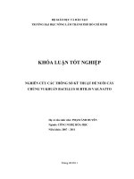    NGHIÊN CỨU CÁC THÔNG SỐ KỸ THUẬT ĐỂ NUÔI CẤY CHỦNG VI KHUẨN BACILLUS SUBTILIS VAE.NATTO   
