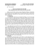 Báo cáo thành tích tập thể
